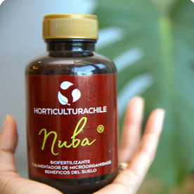Productos ecológicos