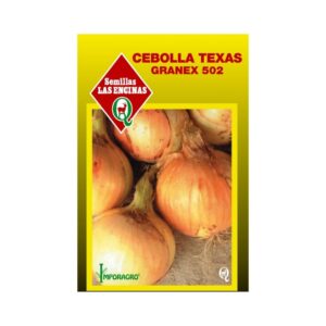 Semillas de Cebolla 'Texas Granex 502'