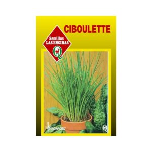 Semillas de Ciboulette Fino de Cortar