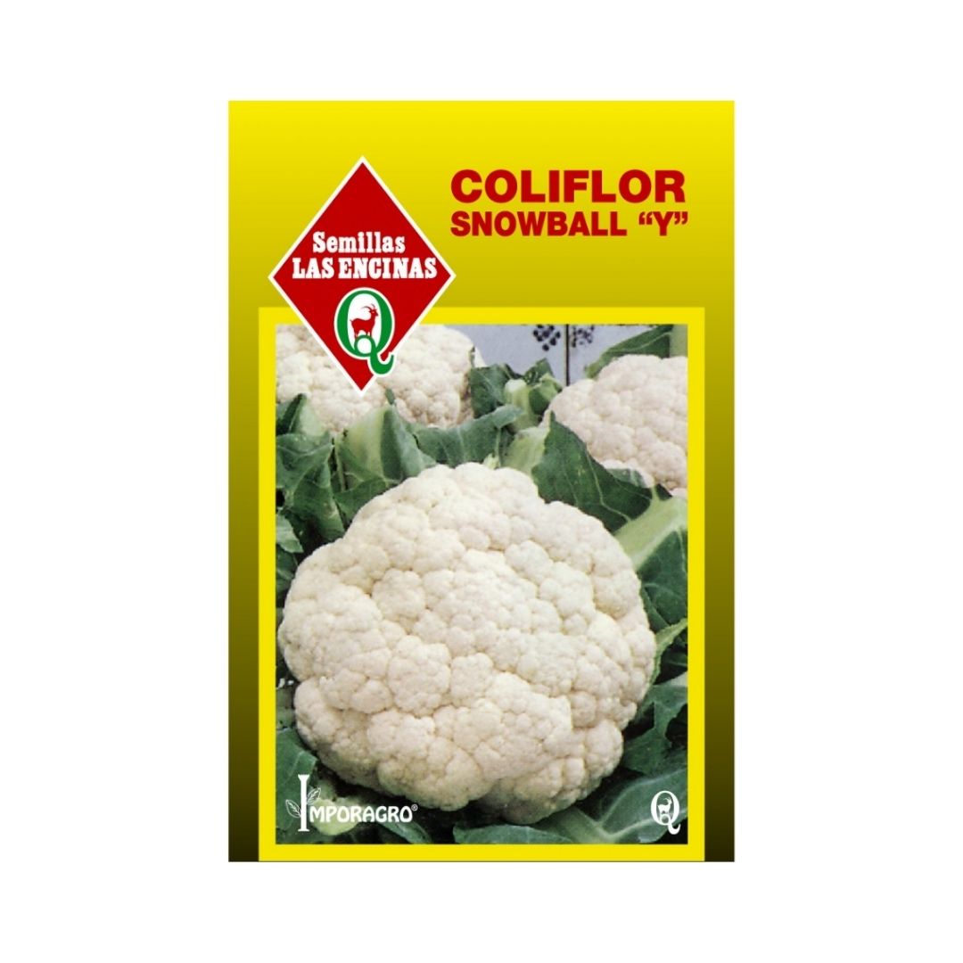Semillas de Coliflor Snowball Y