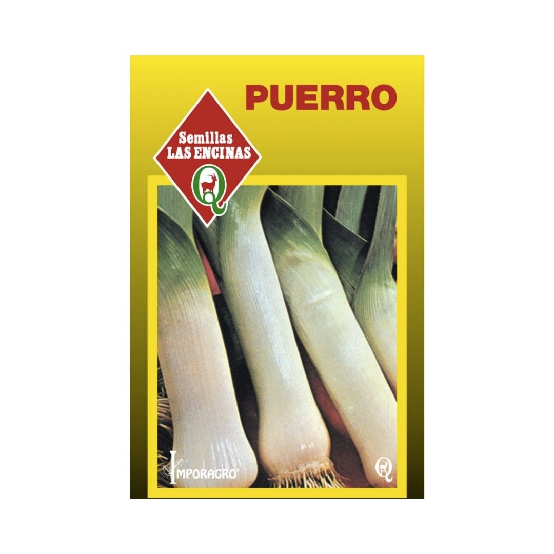 Semillas de Puerro