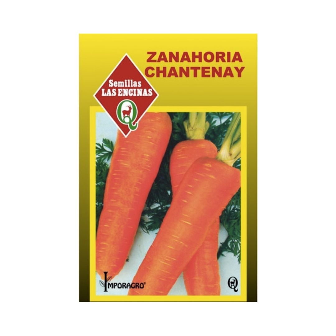 Semillas de Zanahoria Chantenay