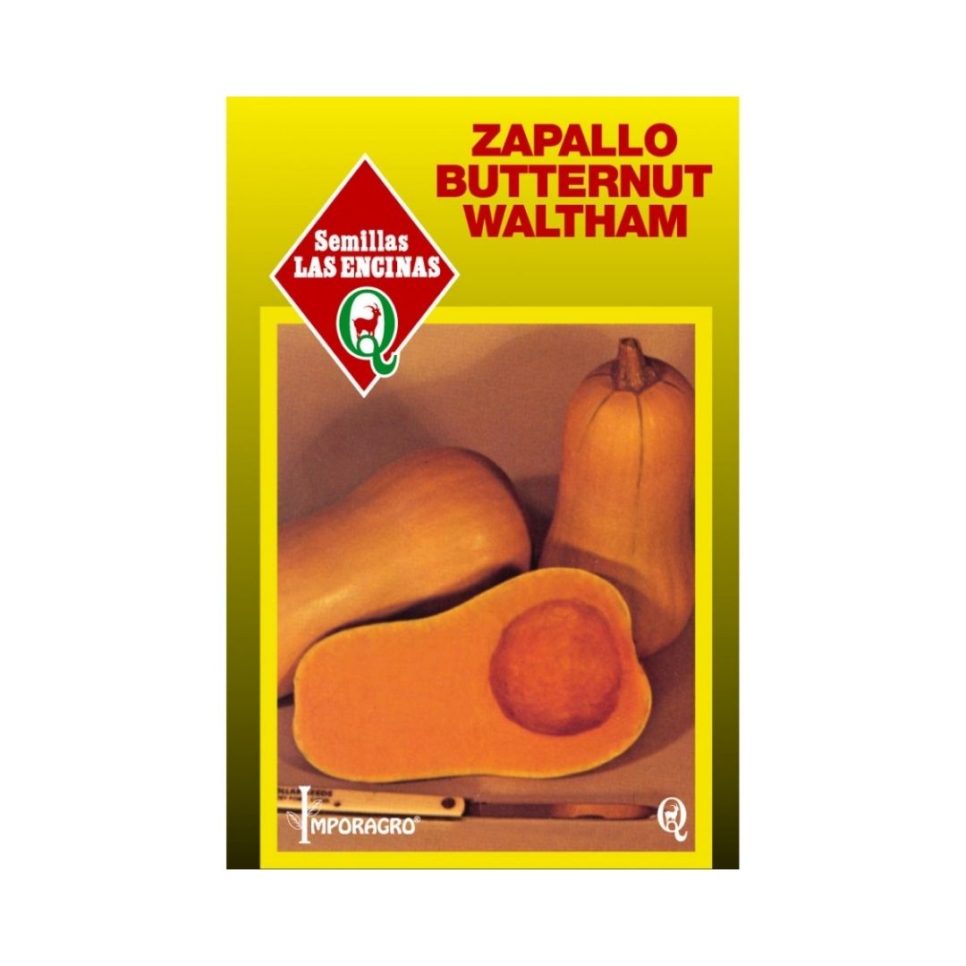 Semillas de Zapallo Butternut 'Waltham'