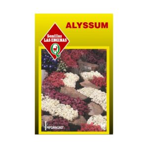 Semillas de Alyssum Mix de colores