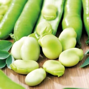 Semillas de Habas Super-aguadulce