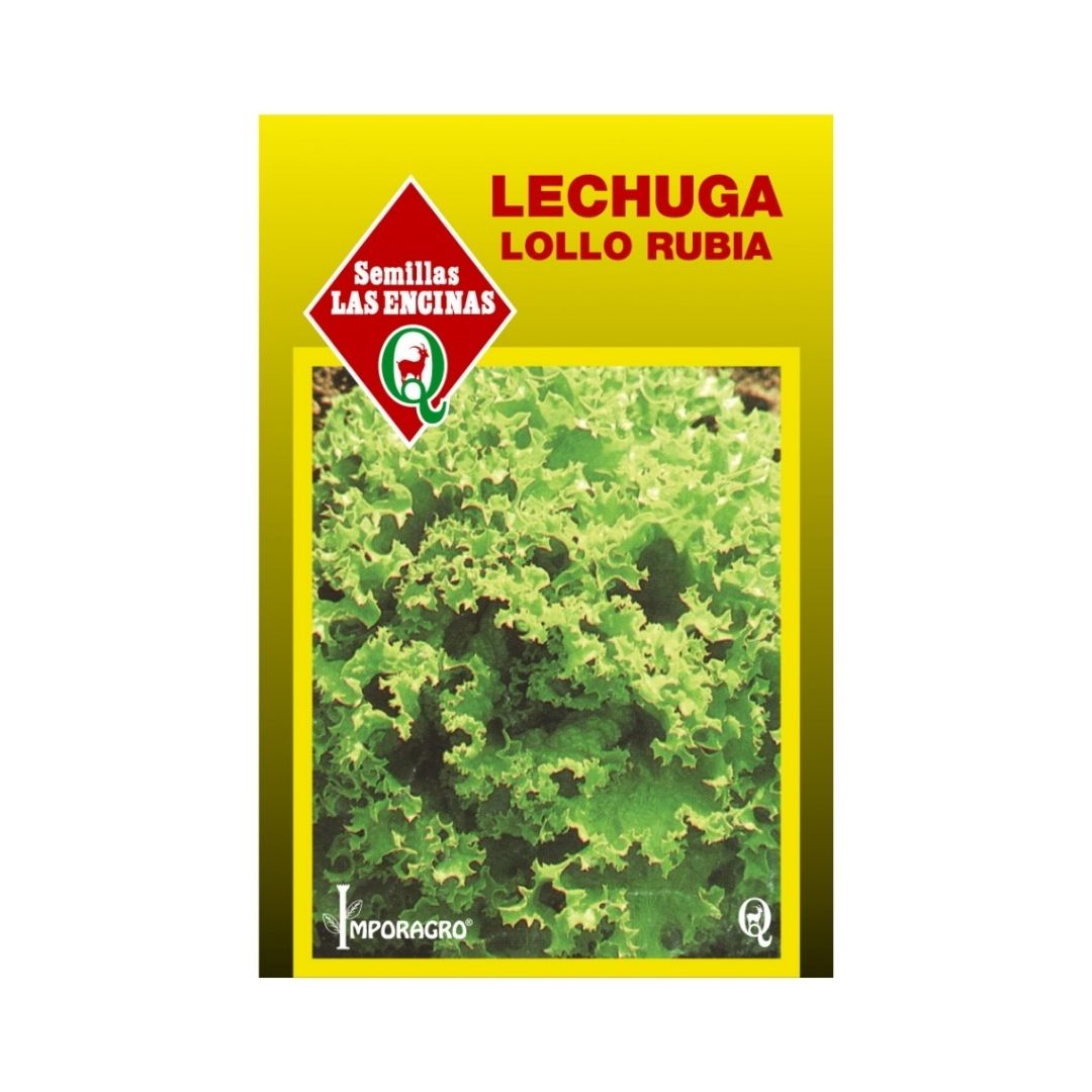 Semillas de Lechuga Lollo Rubia (Lollo Bionda)