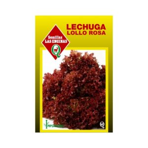 Semillas de Lechuga Lollo Rossa
