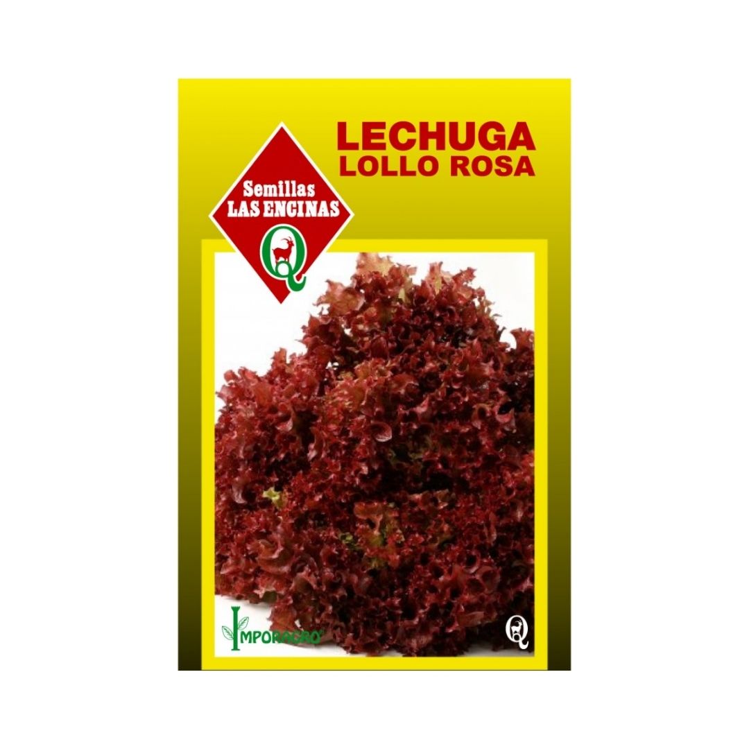 Semillas de Lechuga Lollo Rossa