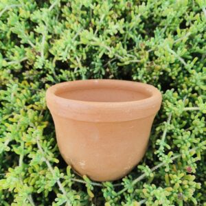 Macetero de Terracota Cancura