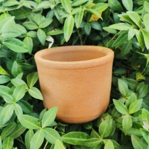 Macetero de Terracota Flora