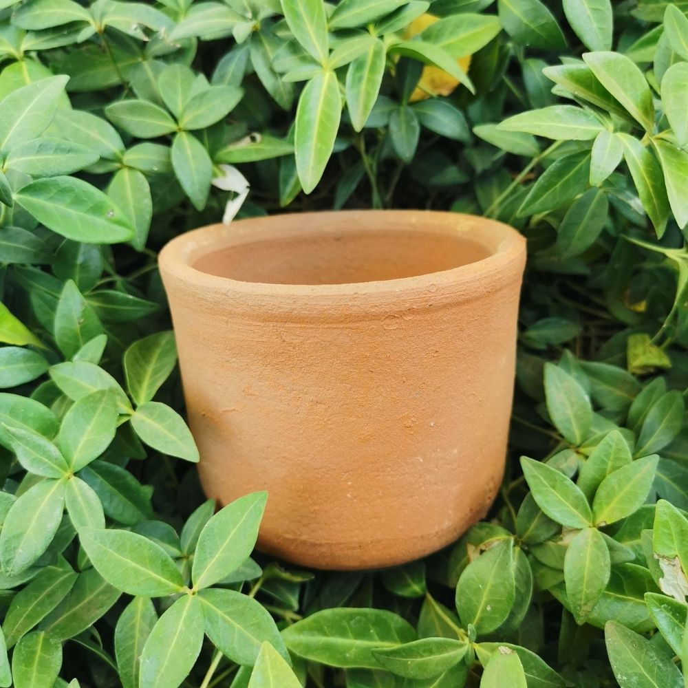 Macetero de Terracota Flora