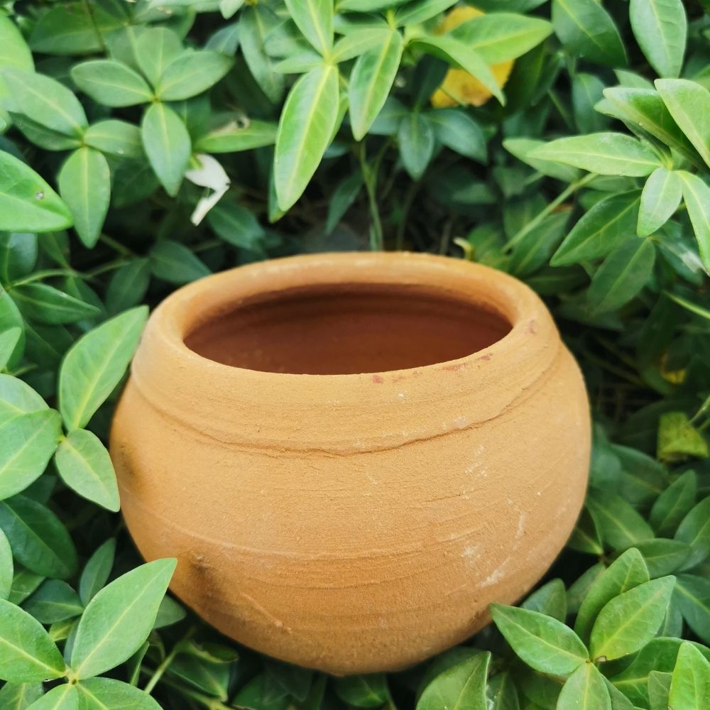 Macetero de Terracota Futrono