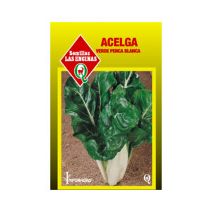 Semillas de Acelga Verde Penca Blanca