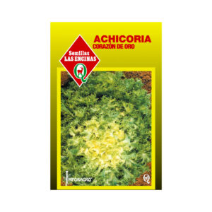 Semillas de Achicoria Crespa