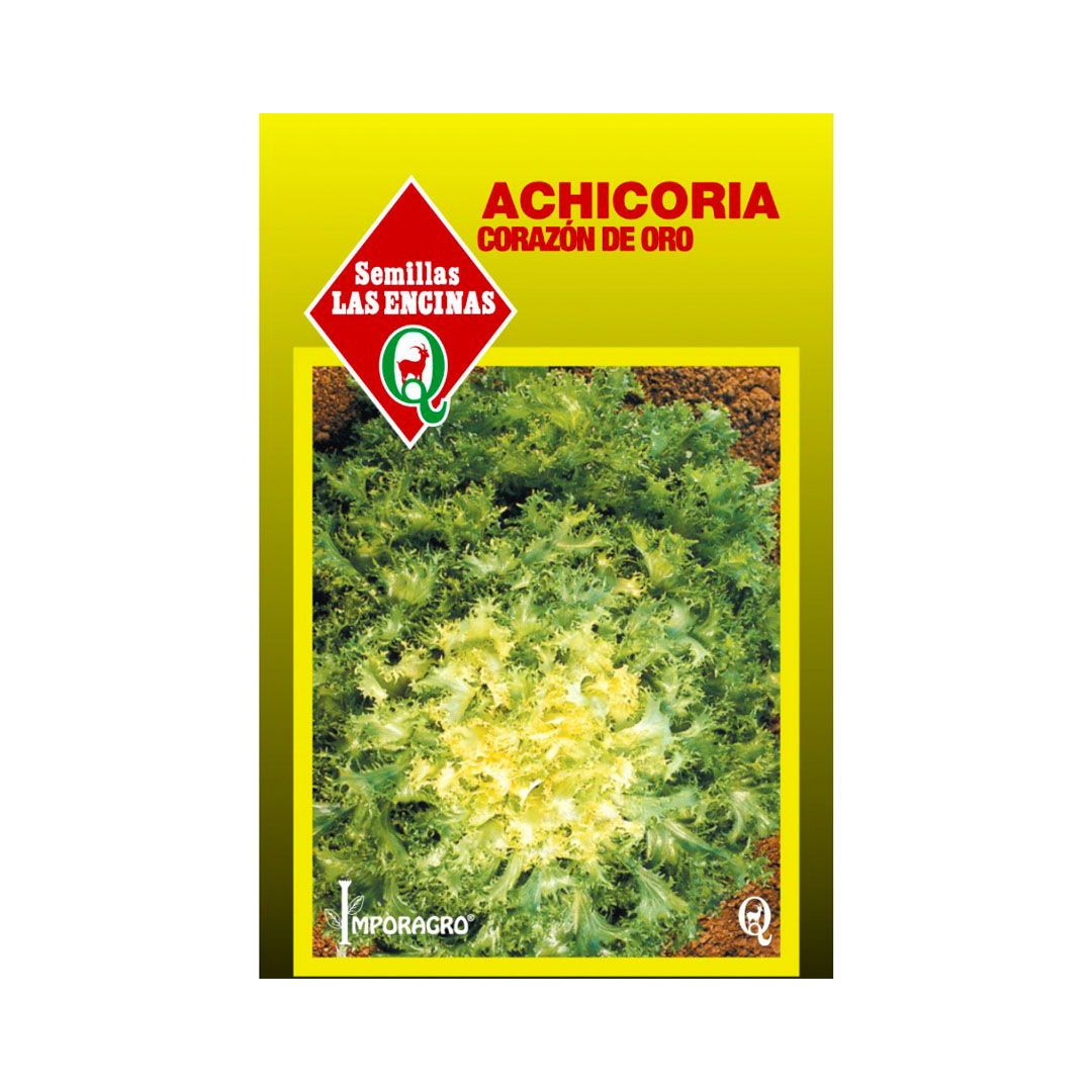 Semillas de Achicoria Crespa