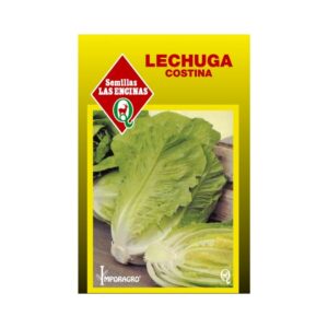 Semillas de Lechuga Costina