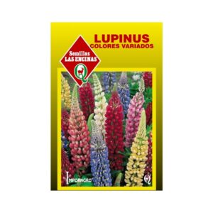 Semillas de Lupinus 'Russel'