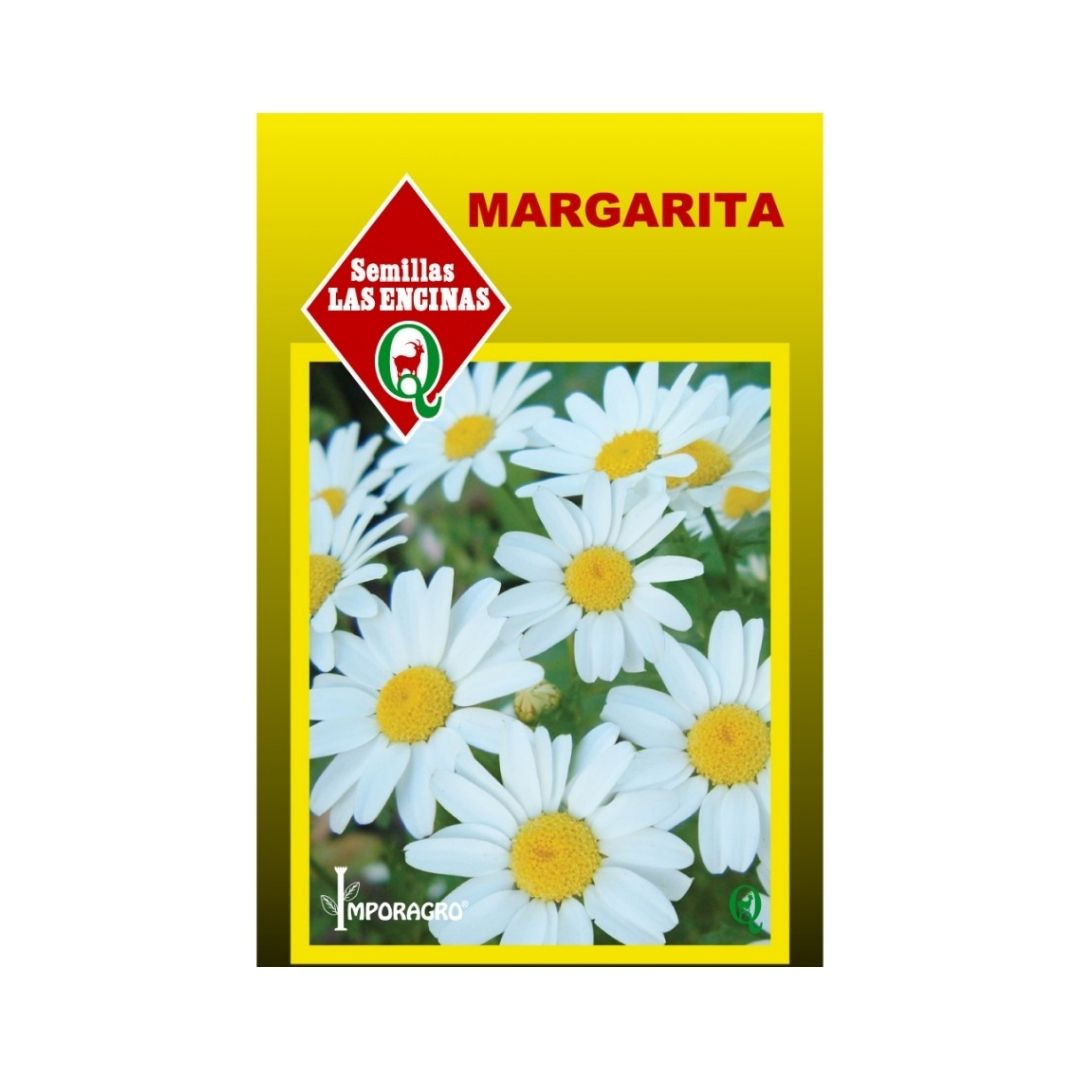 Semillas de Margarita (Chrysanthemum paludosum)