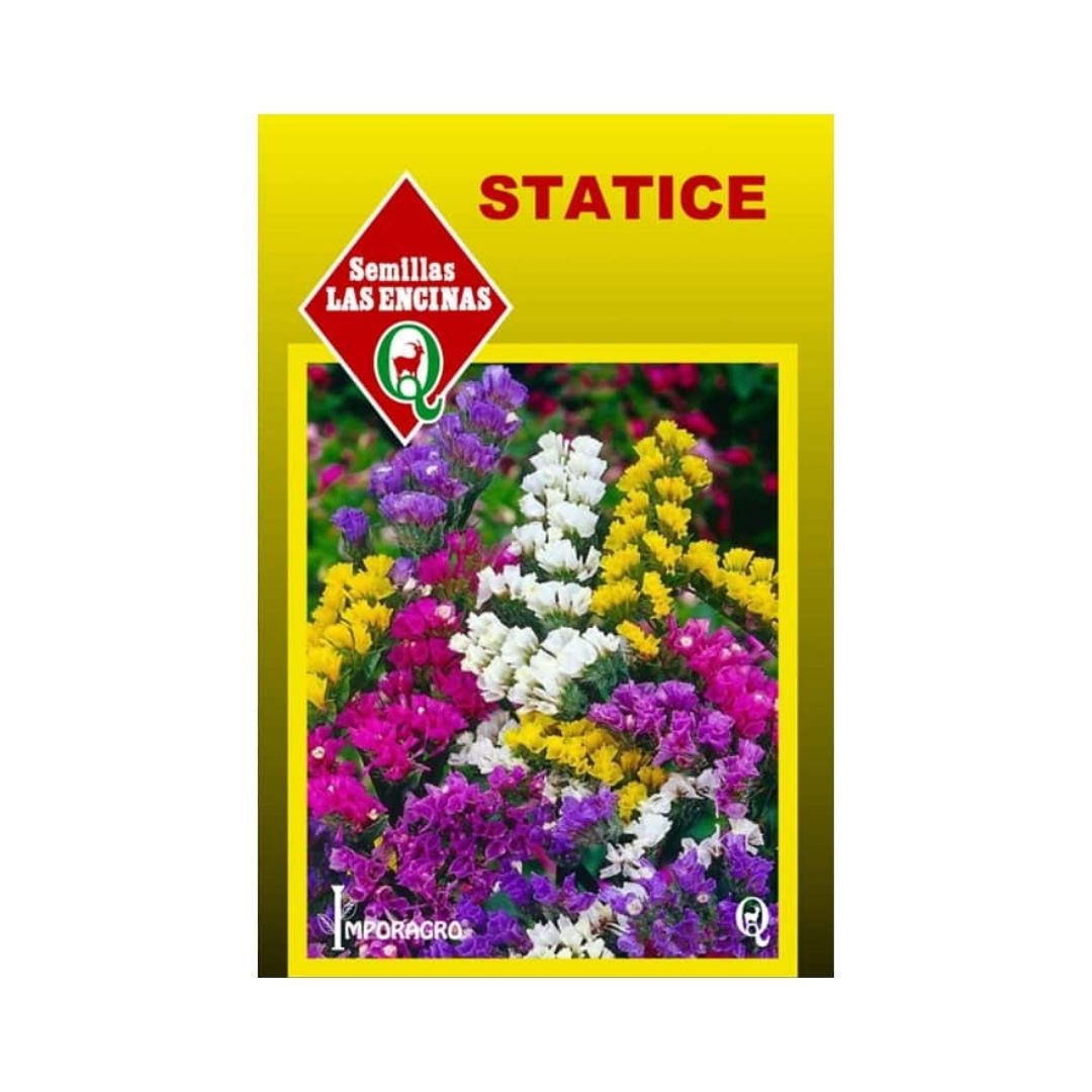 Semillas de Statice