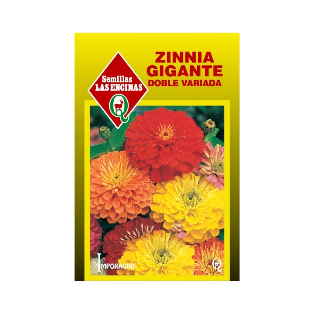 Semillas de Zinnia Gigante