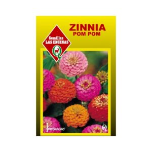 Semillas de Zinnia 'Pom Pom'