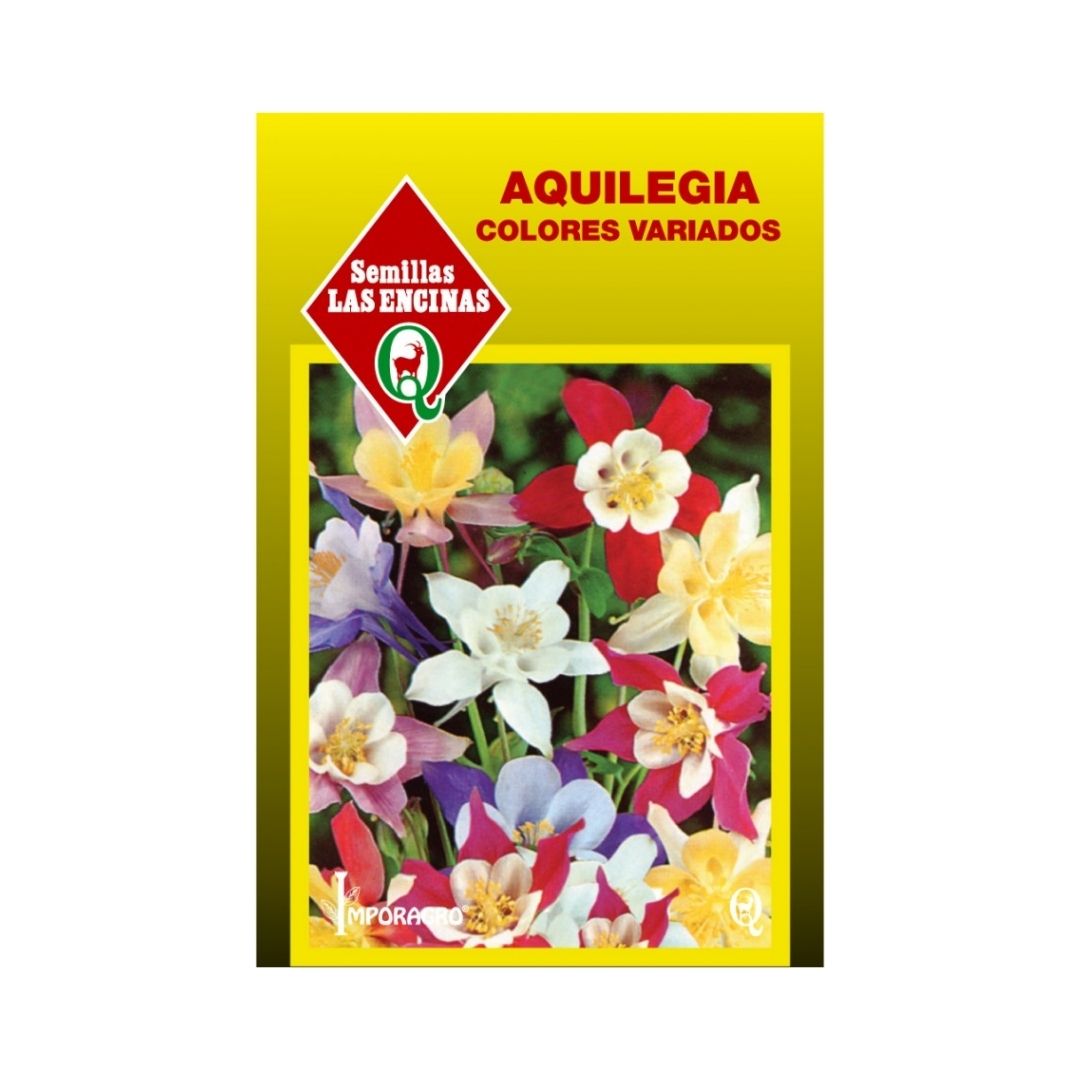 Semillas de Aquilegia 'McKana'
