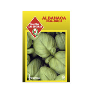 Semillas de Albahaca Hoja Ancha