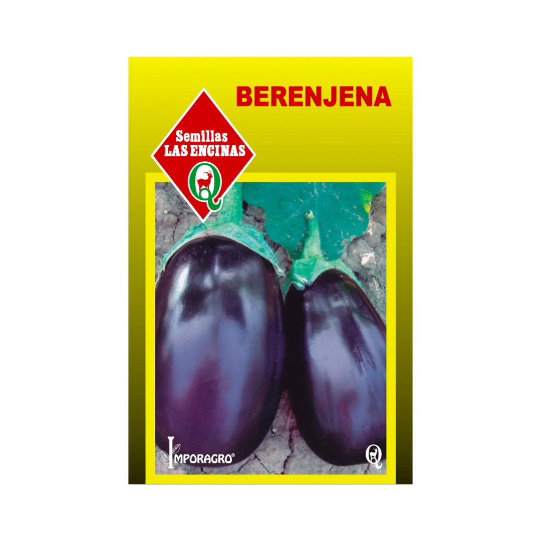 Semillas de Berenjena