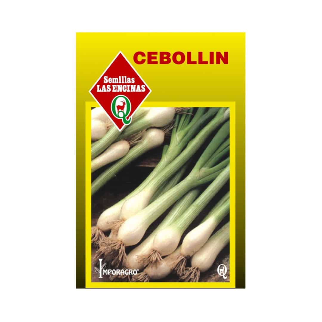 Semillas de Cebollin Kyoto
