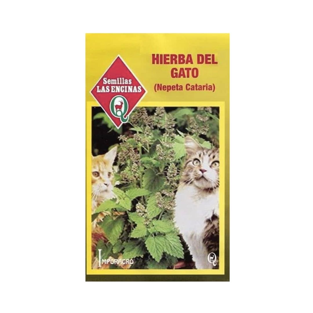 Semillas de Hierba del Gato