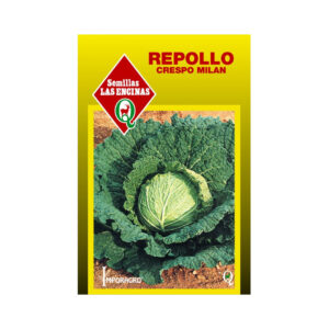 Semillas de Repollo Crespo 'Milán'