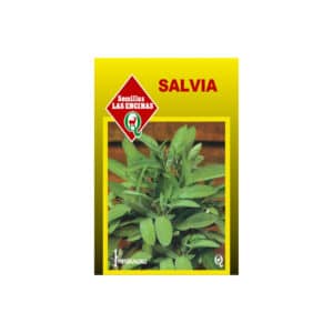 Semillas de Salvia