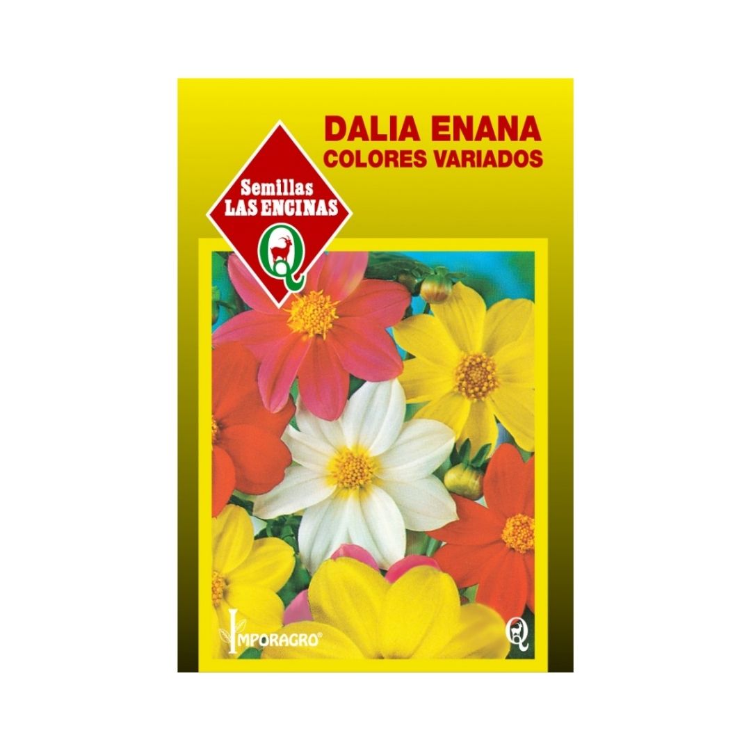 Semillas de Dalia Mignon