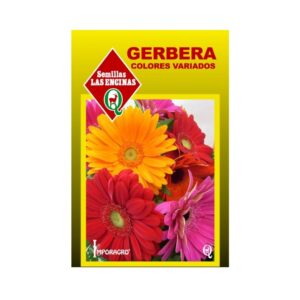Semillas de Gerbera