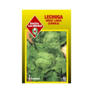 Semillas de Lechuga Escarola 'Great Lakes'