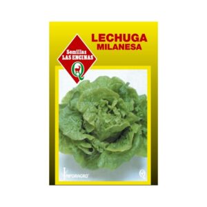 Semillas de Lechuga Milanesa
