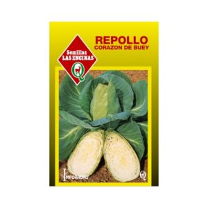 Semillas de Repollo Corazón de buey