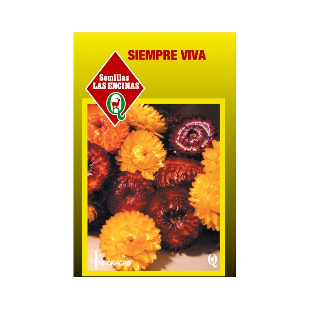 Semillas de Siempre viva 'Sultane'