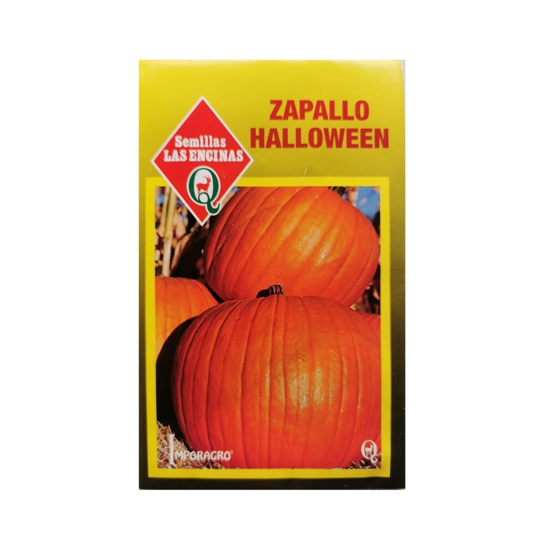 Semillas de Zapallo Halloween 'Howden'