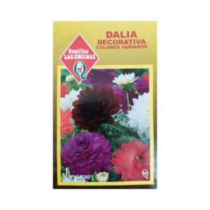 Semillas de Dalia Decorativa (Mix de colores)