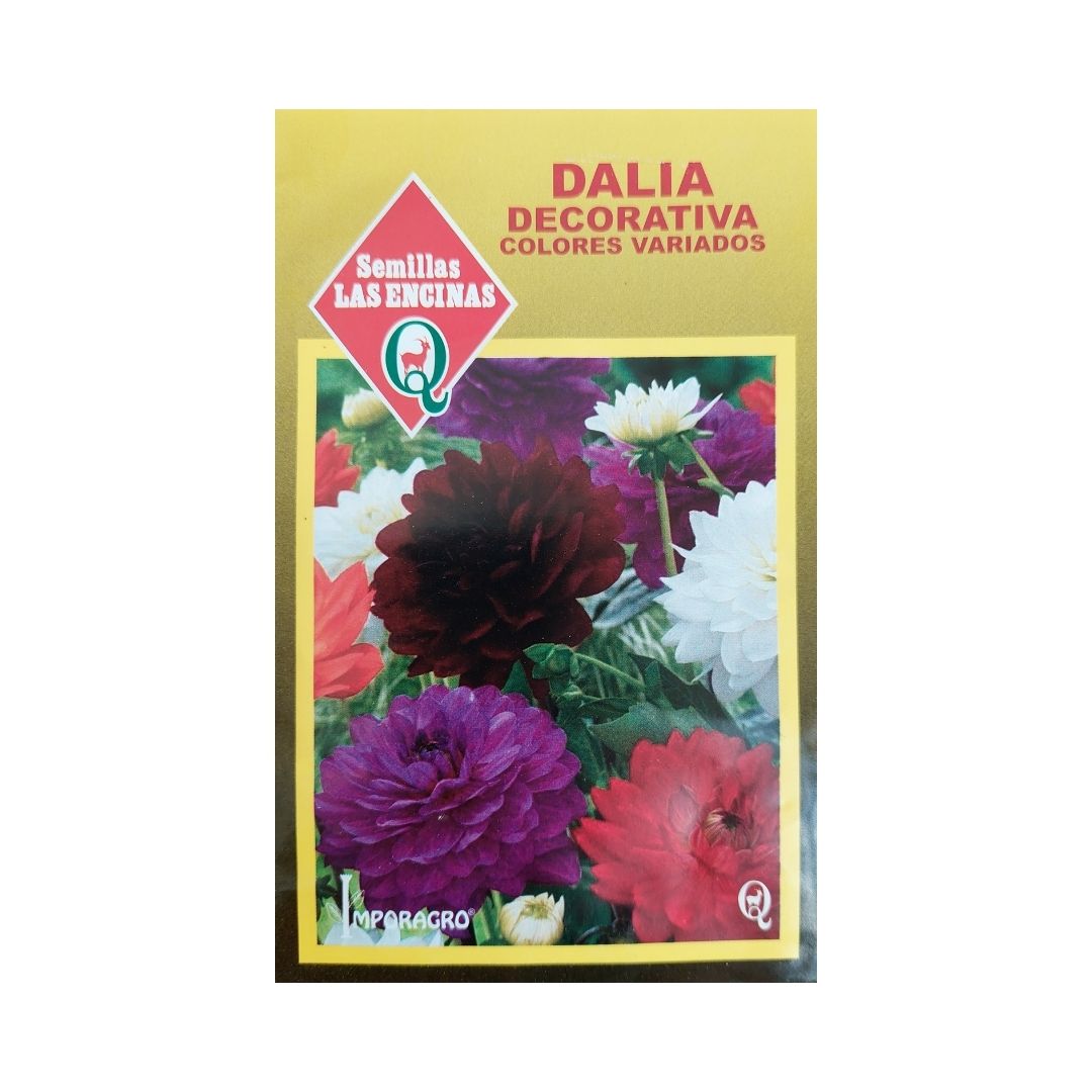 Semillas de Dalia Decorativa (Mix de colores)