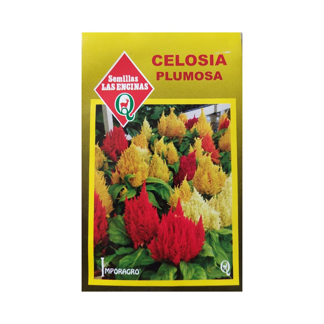Semillas de Celosía Plumosa