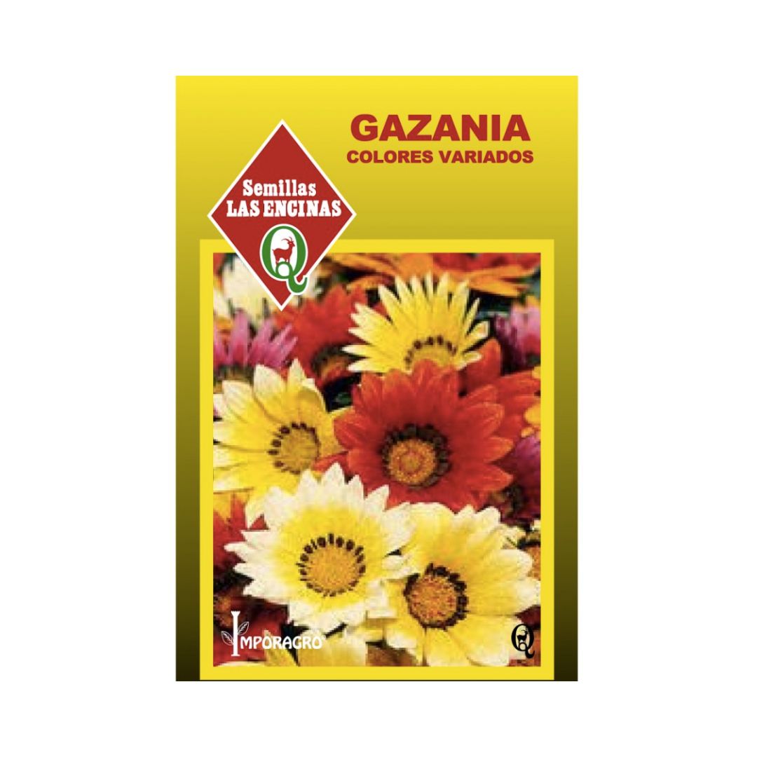 Semillas de Gazania Mix de colores
