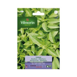 Semillas de Albahaca Limón
