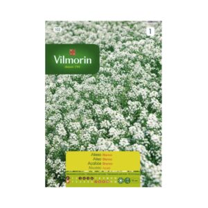 Semillas de Alyssum blanco Vilmorin (Aliso)