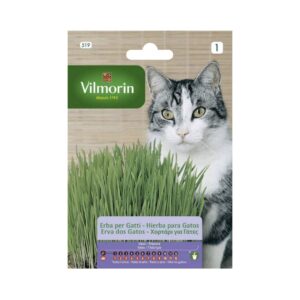 Semillas de Hierba para gatos