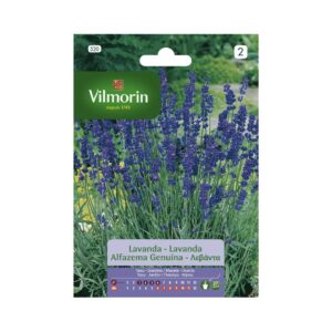 Semillas de Lavanda (Lavandula angustifolia)