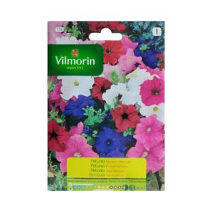 Semillas de Petunia Enana Variada