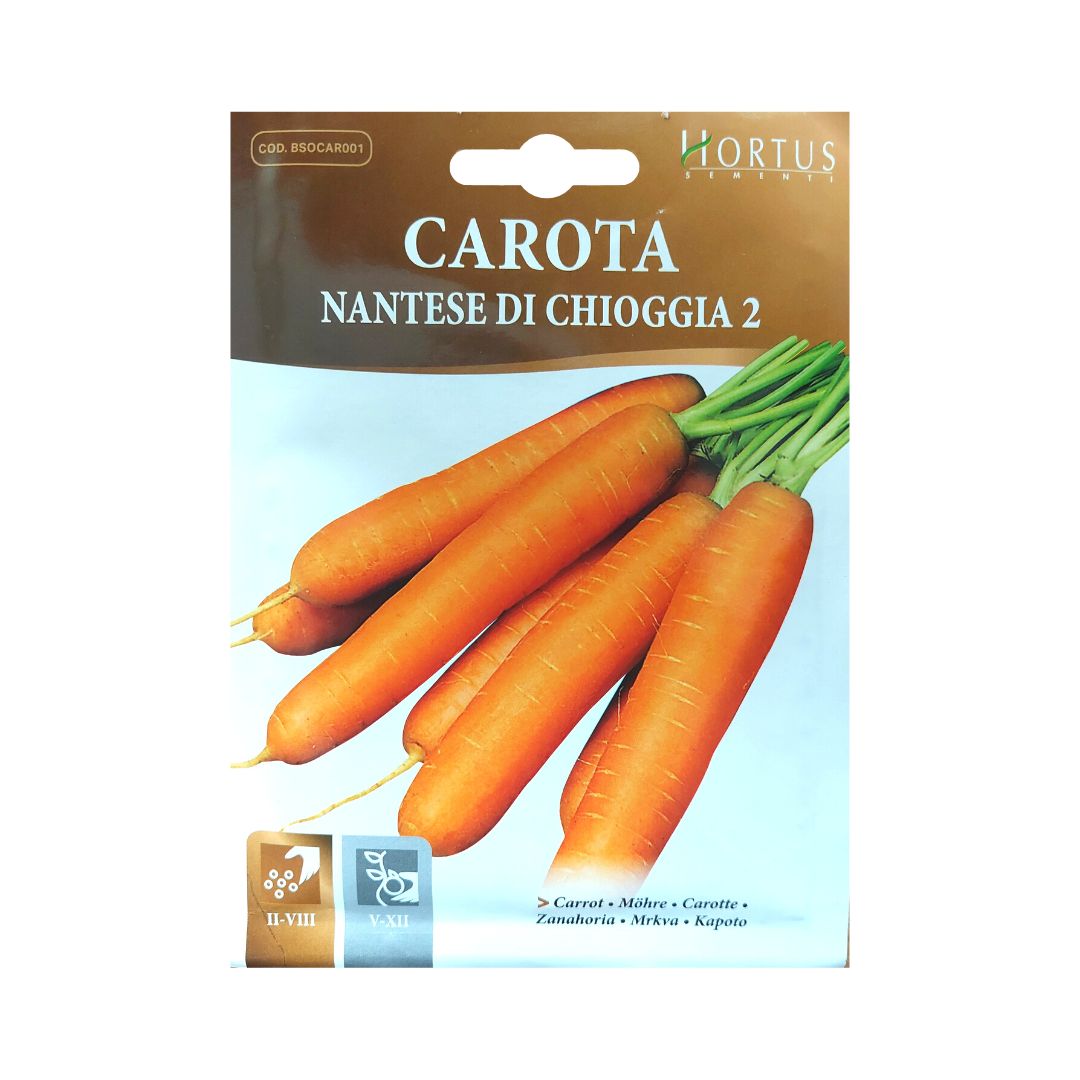 Semillas de Zanahoria Nantesa