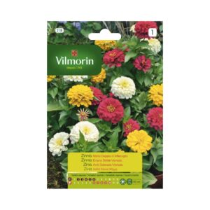 Semillas de Zinnia Enana